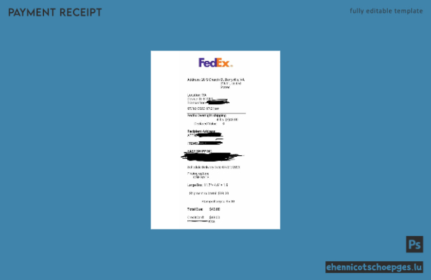FedEx Corporation Belegbeispiel (Vorschau)